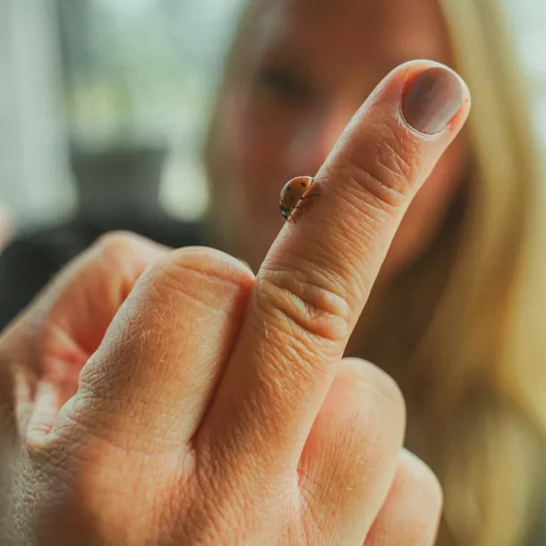 sweet & salty - Content Quality Score